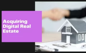 Acquiring Digital Real Estate