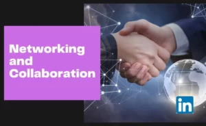 Networking and Collaboration of LinkedIn