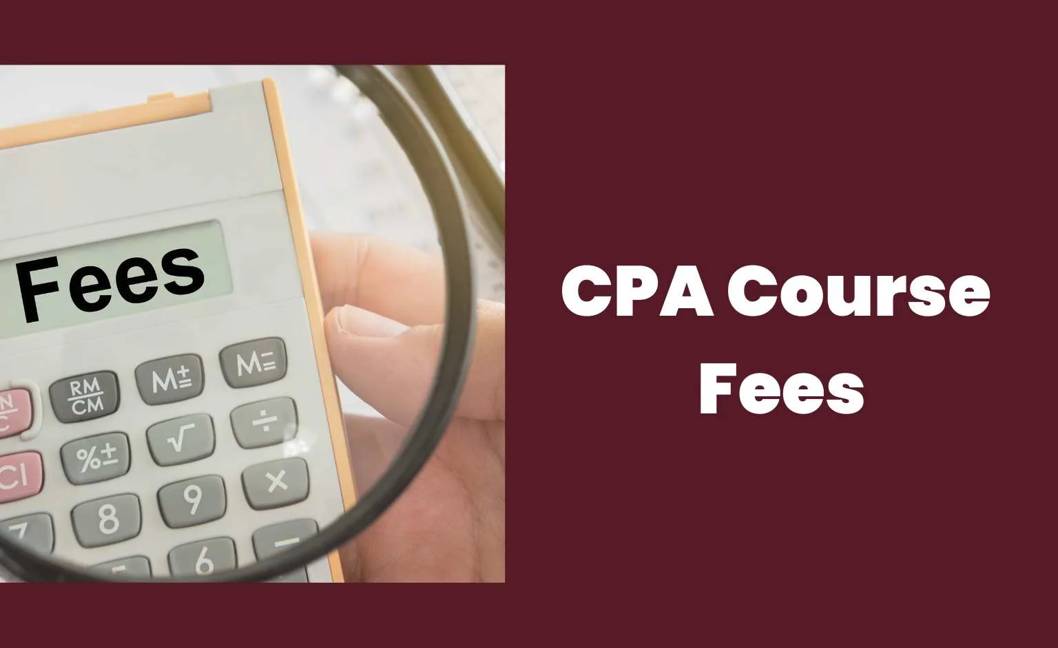 CPA Course Fees