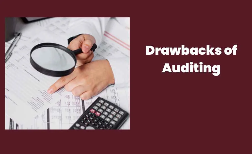 Drawbacks of Auditing