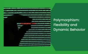 Polymorphism Flexibility and Dynamic Behavior