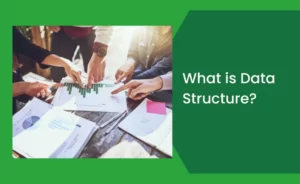 What is Data Structure