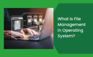 What is File Management in Operating System