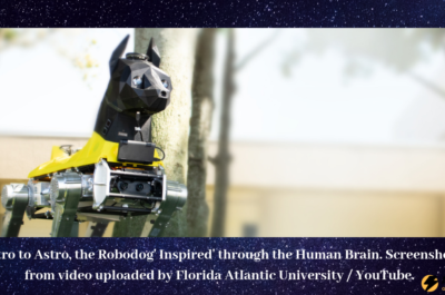 Intro to Astro, the Robodog’ Inspired’ by artificial intelligence through the Human Brain