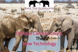 Saving the Elephants in Africa using Artificial Intelligence