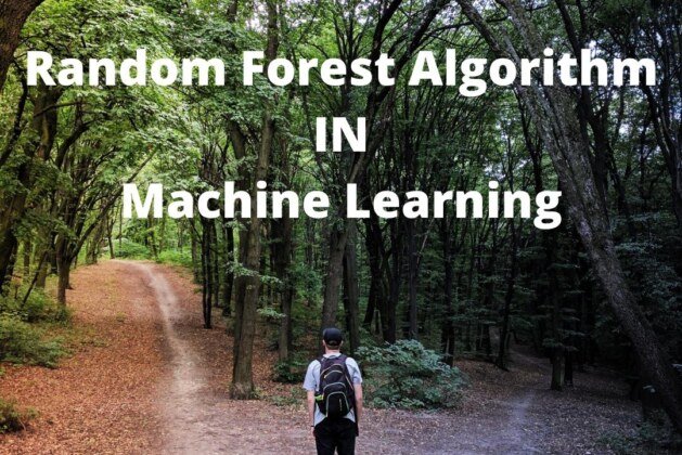 Random Forest Algorithm in Machine Learning