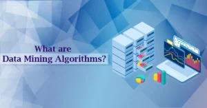 What are Clustering algorithms in Data Mining