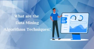 What are the Data Mining Algorithms Techniques