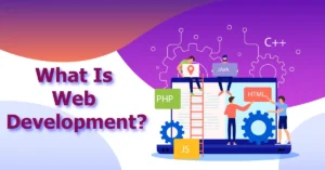 What Is Web Development Projects