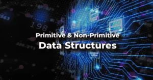 Primitive & Non-Primitive Data Structures