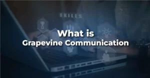 What Is Grapevine Communication