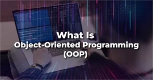 What is Object Oriented Programming (OOP)