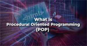 What is Procedural Oriented Programming