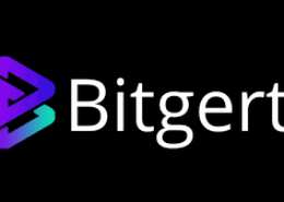 Can Bitgert reach $1 and Is it worth investing in it?