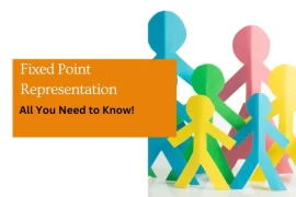 Fixed Point Representation : All You Need To Know