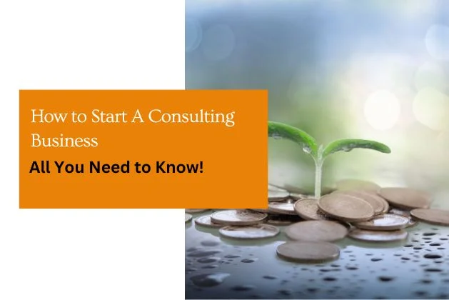 How to Start A Consulting Business : All You Need To Know