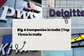 Big 4 Companies in India | Top Firms in India