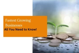 Fastest Growing Businesses : All You Need to Know