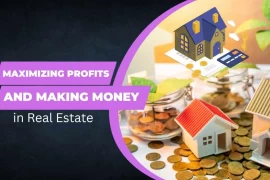 Maximizing Profits and Making Money in Real Estate : Unleashing the Power of Money