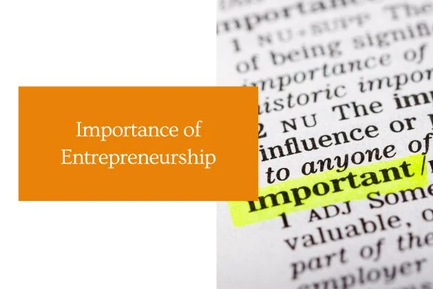 Importance of Entrepreneurship