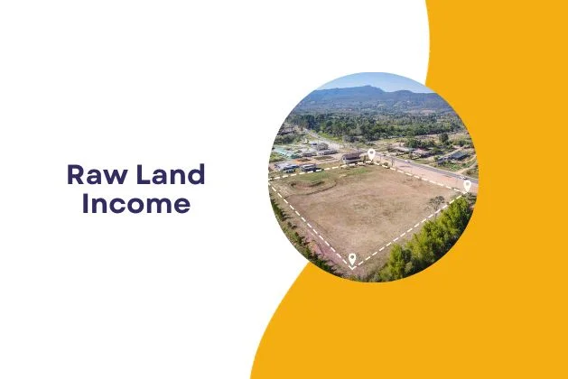 Raw Land Income