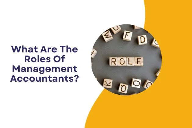 What Are The Roles Of Management Accountants?