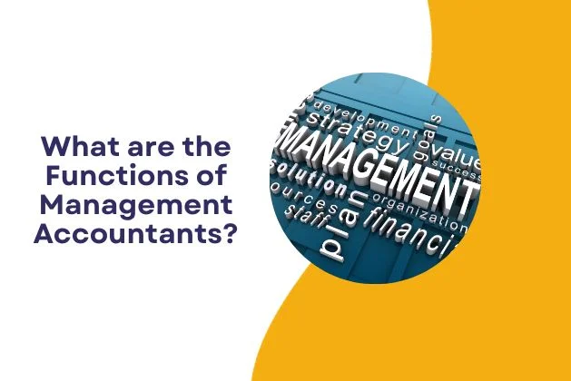 What are the Functions of Management Accountants?