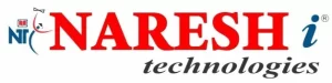 Nareshit Logo - Analytics Jobs
