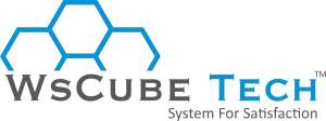 WSCubetech Logo-Analytics Jobs