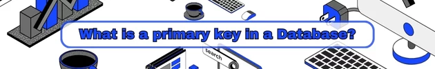 What is a Primary Key in a Database?