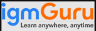 igmGURU Logo-Analytics Jobs