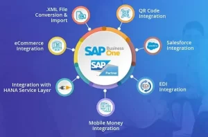 what is SAP course?