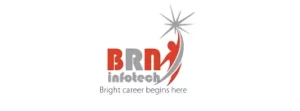 BRN Infotech Logo-Analytics Jobs